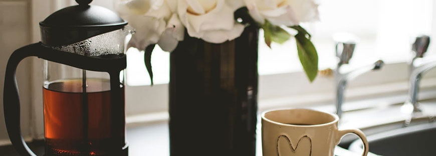 At risus pretium urna tortor metus fringilla