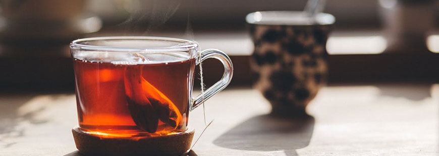 Urna pretium elit mauris cursus Curabitur at elit Vestibulum