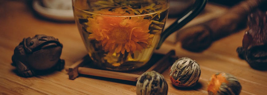 Urna pretium elit mauris cursus Curabitur at elit Vestibulum