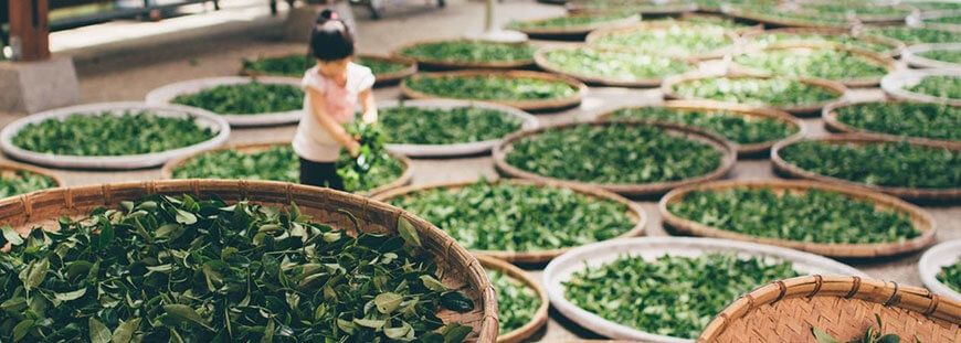 Morbi condimentum molestie Nam enim odio sodales